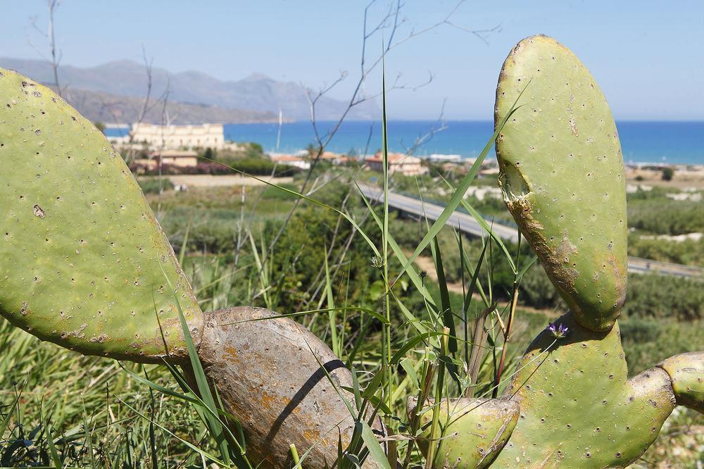 Appartaville Castellammare Del Golfo Exterior photo